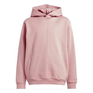 iv7116-junior-hoodie-adidas-all-szn-graphics-sepisp