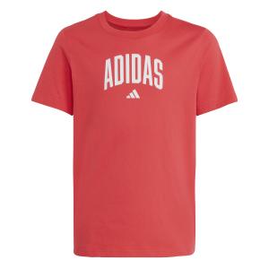 jv5194-kinder-t-shirt-met-lange-mouwen-adidas-collegiate-graphic-purrub