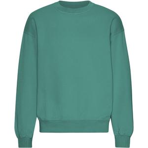 cs1012-pinegreen-oversized-sweatshirt-met-ronde-hals-colorful-standard-organic-pine-green-dennengroen