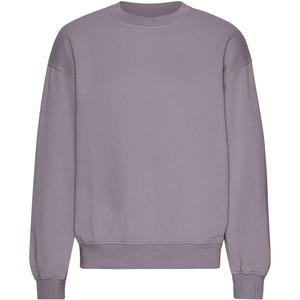 cs1012-purplehaze-oversized-sweatshirt-met-ronde-hals-colorful-standard-organic-purple-haze-paarse-waas