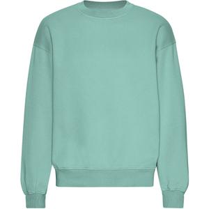 cs1012-seafoamgreen-oversized-sweatshirt-colorful-standard-organic-zeegroen