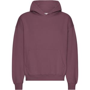 cs1015-dustyplum-oversized-sweatshirt-met-capuchon-colorful-standard-organic-dusty-plum-stoffige-pruim
