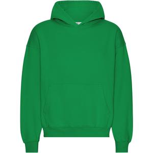 cs1015-kellygreen-oversized-sweatshirt-met-capuchon-colorful-standard-organic-kelly-green-driekleurig-groen