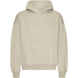 cs1015-oystergrey-oversized-sweatshirt-met-capuchon-colorful-standard-organic-oyster-grey-oestergrijs