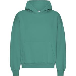 cs1015-pinegreen-oversized-sweatshirt-met-capuchon-colorful-standard-organic-pine-green-dennengroen