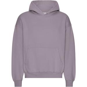 cs1015-purplehaze-oversized-sweatshirt-met-capuchon-colorful-standard-organic-purple-haze-paarse-waas