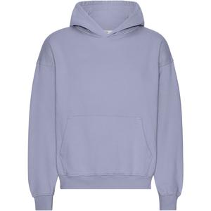 cs1015-purplejade-oversized-sweatshirt-met-capuchon-colorful-standard-organic-purple-jade-paars-jade