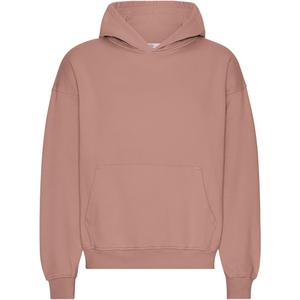 cs1015-rosewoodmist-oversized-sweatshirt-met-capuchon-colorful-standard-organic-rosewood-mist-rozenhout-mist
