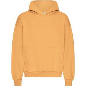 cs1015-sandstoneorange-oversized-sweatshirt-met-capuchon-colorful-standard-organic-sandstone-orange-zandsteen-oranje