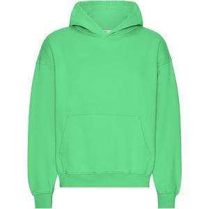 cs1015-springgreen-oversized-sweatshirt-met-capuchon-colorful-standard-organic-spring-green-lentegroen
