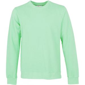 cs1005-fadedmint-sweatshirt-ronde-hals-colorful-standard-classic-organic-verbleekte-munt