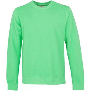cs1005-springgreen-sweatshirt-ronde-hals-colorful-standard-classic-organic-lentegroen