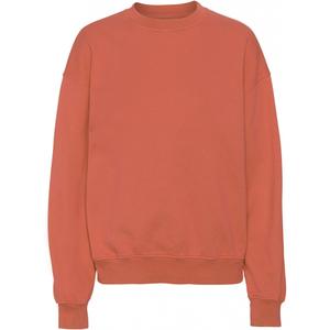 cs1012-darkamber-sweatshirt-ronde-hals-colorful-standard-organic-oversized-donker-amber