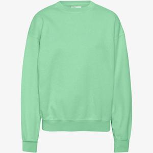 cs1012-fadedmint-sweatshirt-ronde-hals-colorful-standard-organic-oversized-verbleekte-munt