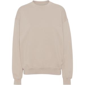 cs1012-ivorywhite-sweatshirt-ronde-hals-colorful-standard-organic-oversized-ivoorwit
