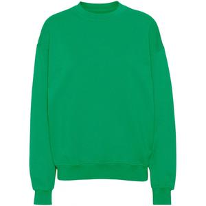 cs1012-kellygreen-sweatshirt-ronde-hals-colorful-standard-organic-oversized-driekleurig-groen