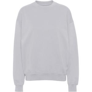 cs1012-limestonegrey-sweatshirt-ronde-hals-colorful-standard-organic-oversized-kalksteen-grijs