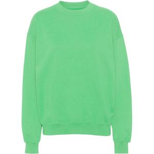 cs1012-springgreen-sweatshirt-ronde-hals-colorful-standard-organic-oversized-lentegroen