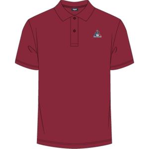 2510017-polo-le-coq-sportif-essentiel-n-1-riorood
