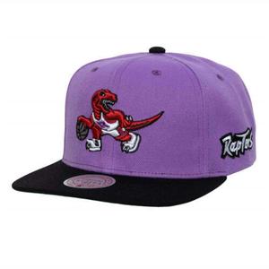 6hsssh22018-trapurp-snapback-pet-toronto-raptors-nba-team-origins-hwc-paars-tu